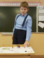 Урок Окружающего мира