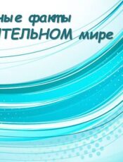 Он-лайн занятие у ребят