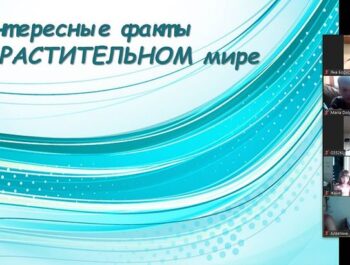 Он-лайн занятие у ребят