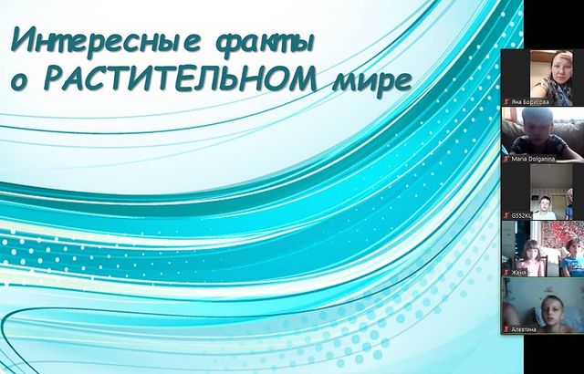 Он-лайн занятие у ребят